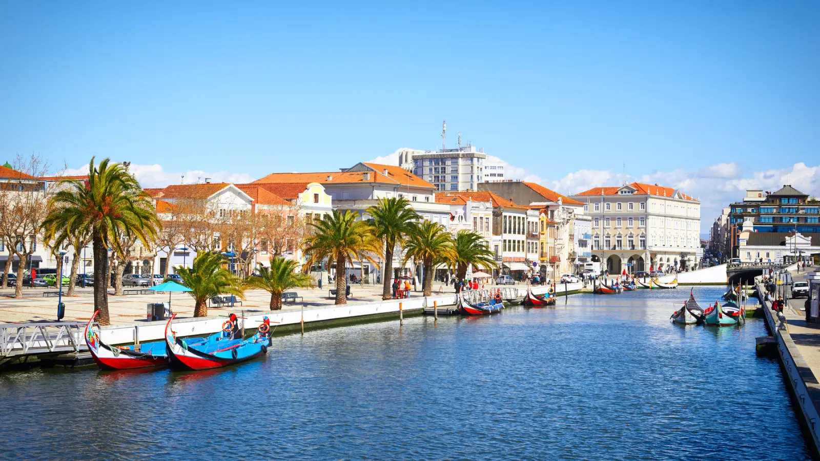 Ultimate Aveiro guide: What to do and where to go?