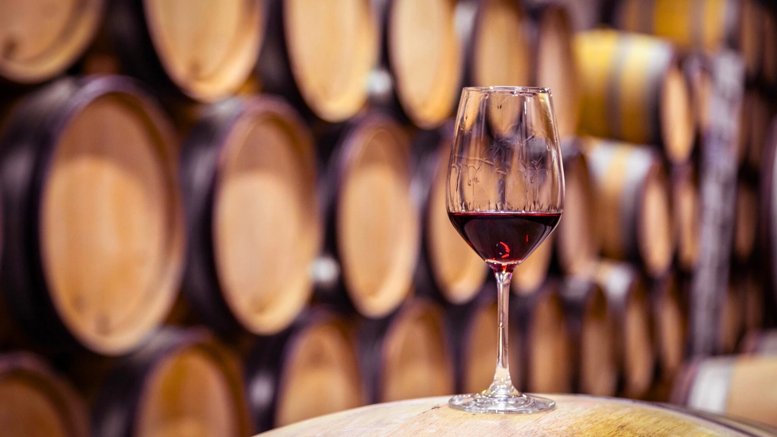 Port wine tasting in Porto: 3 great places to visit
