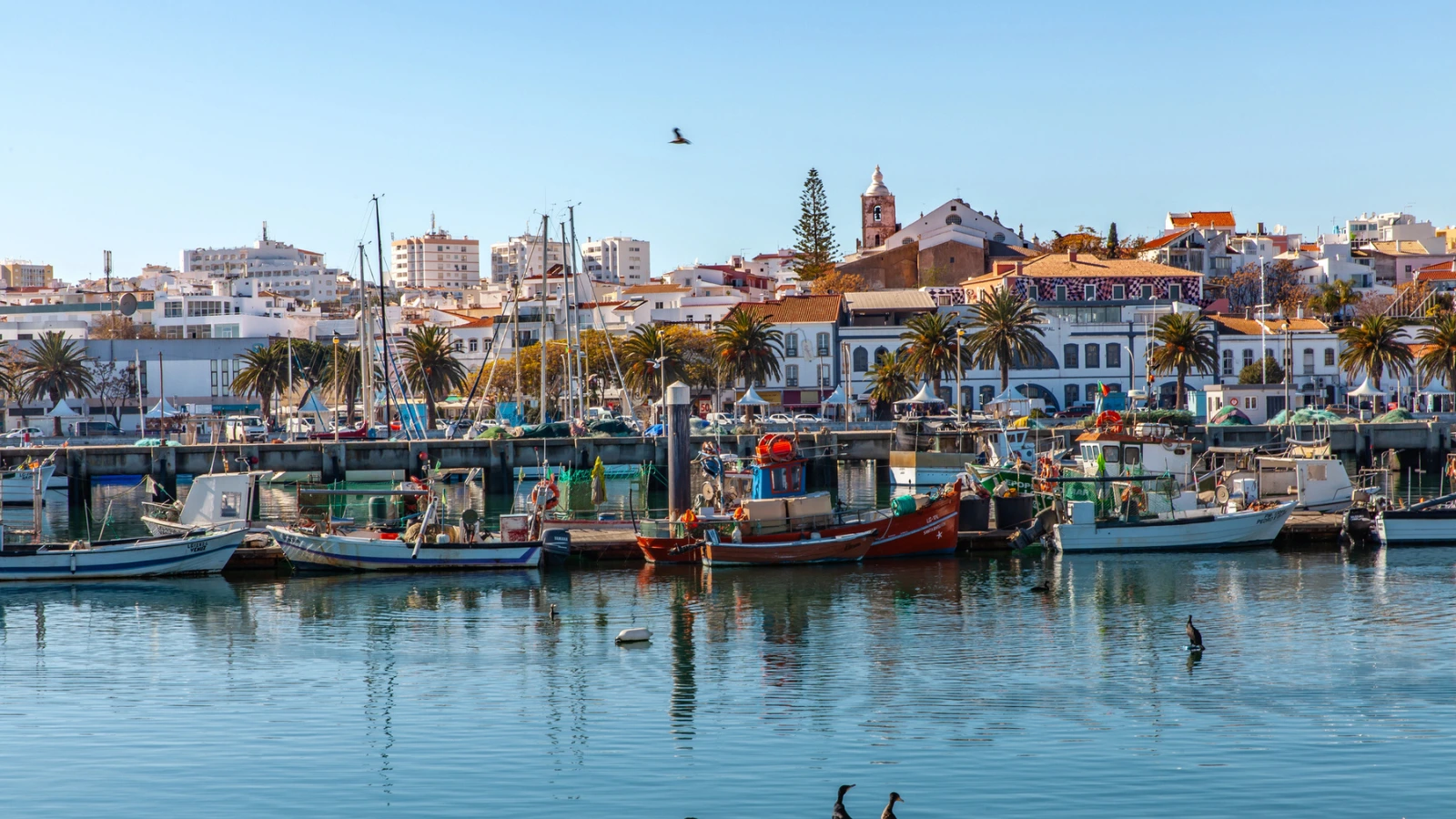 Ultimate Lagos Algarve guide: What to do and where to go?